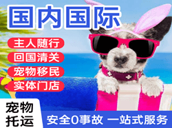 五台山机场快递国际宠物托运 【国
